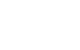 bull fight